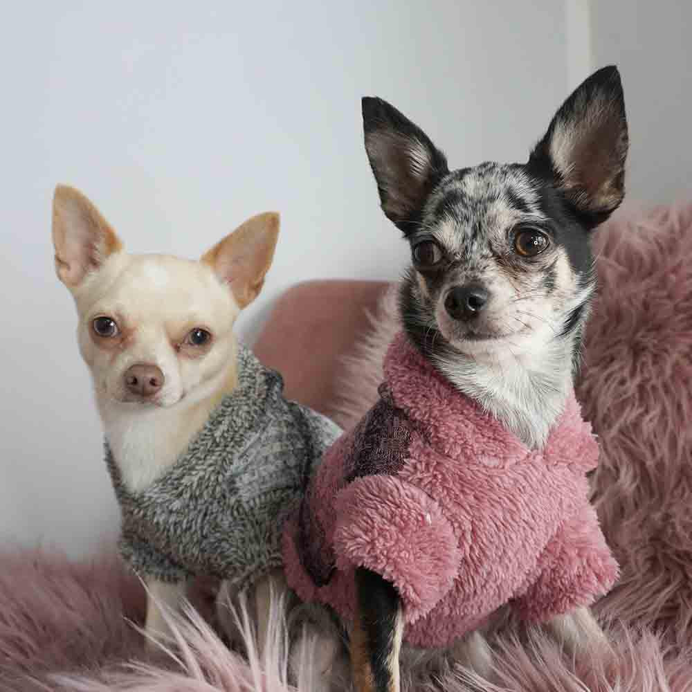 Sweat à Capuche Pour Chien - Costume Renne - Polyester Doux - Taille S à XL