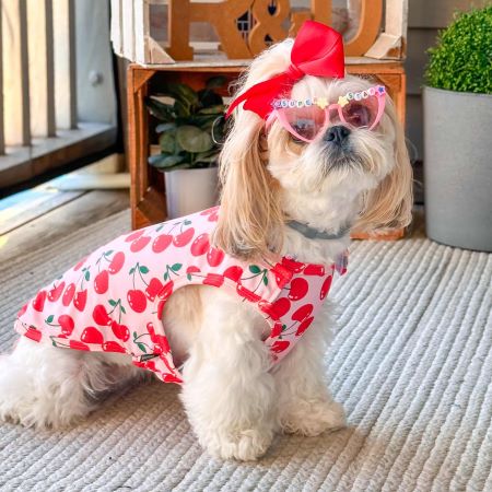 summer dress dog fashion Parisian Pet main image 0