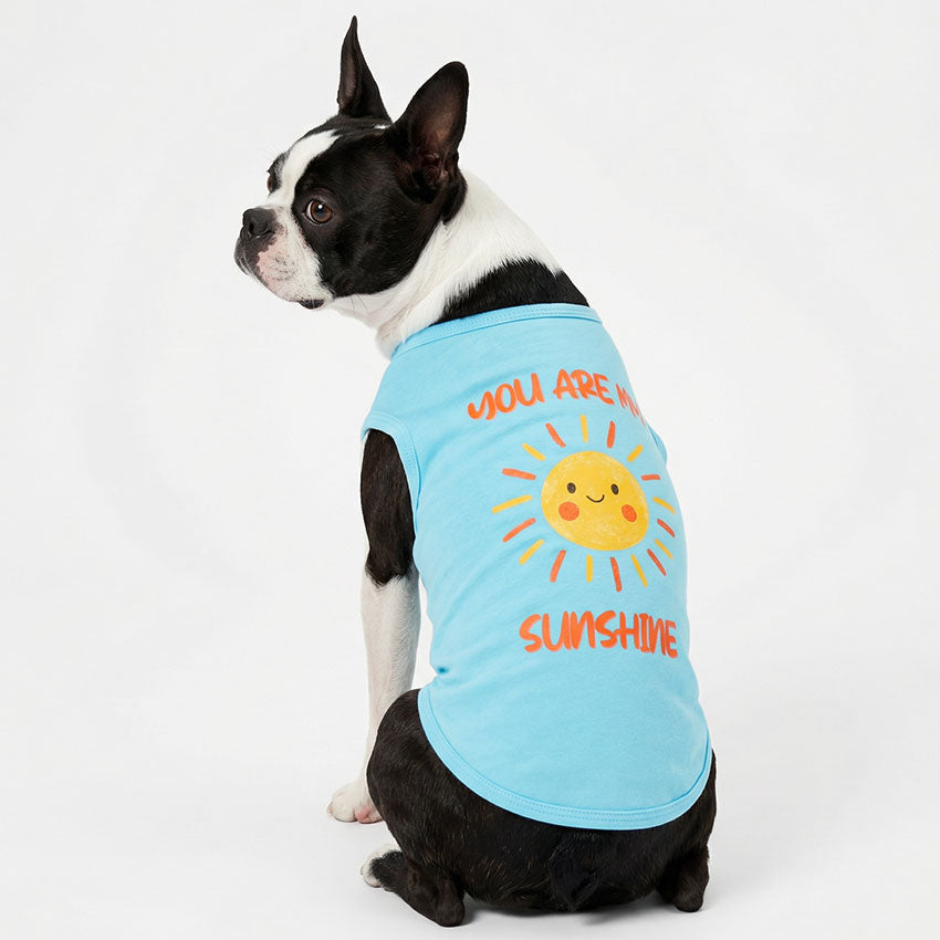 Boston Terrier Horseback T-Shirt