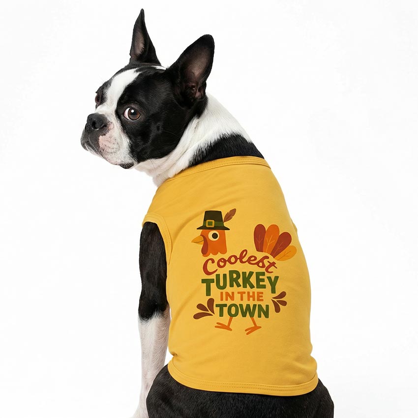 Thanksgiving Dog Apparel | Fitwarm Thanksgiving Dog Apparel | Fitwarm