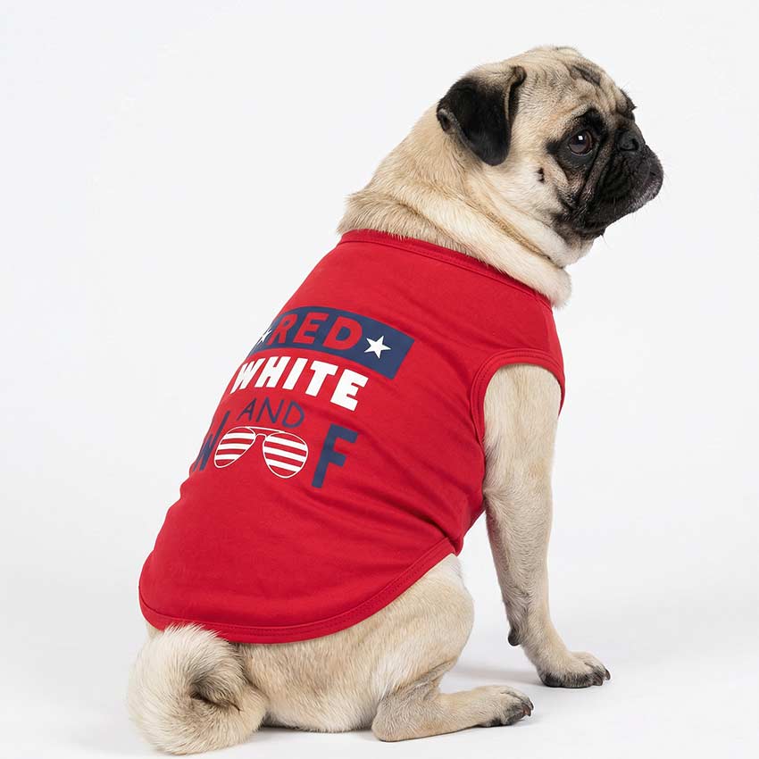 pug dress shirt Enjoy this pug in a Monchichi shirt with a vintage Monchichi to help you get through Mon-day. . Mum could not resist this cute shirt sold at @tillysrochesterny to pair with