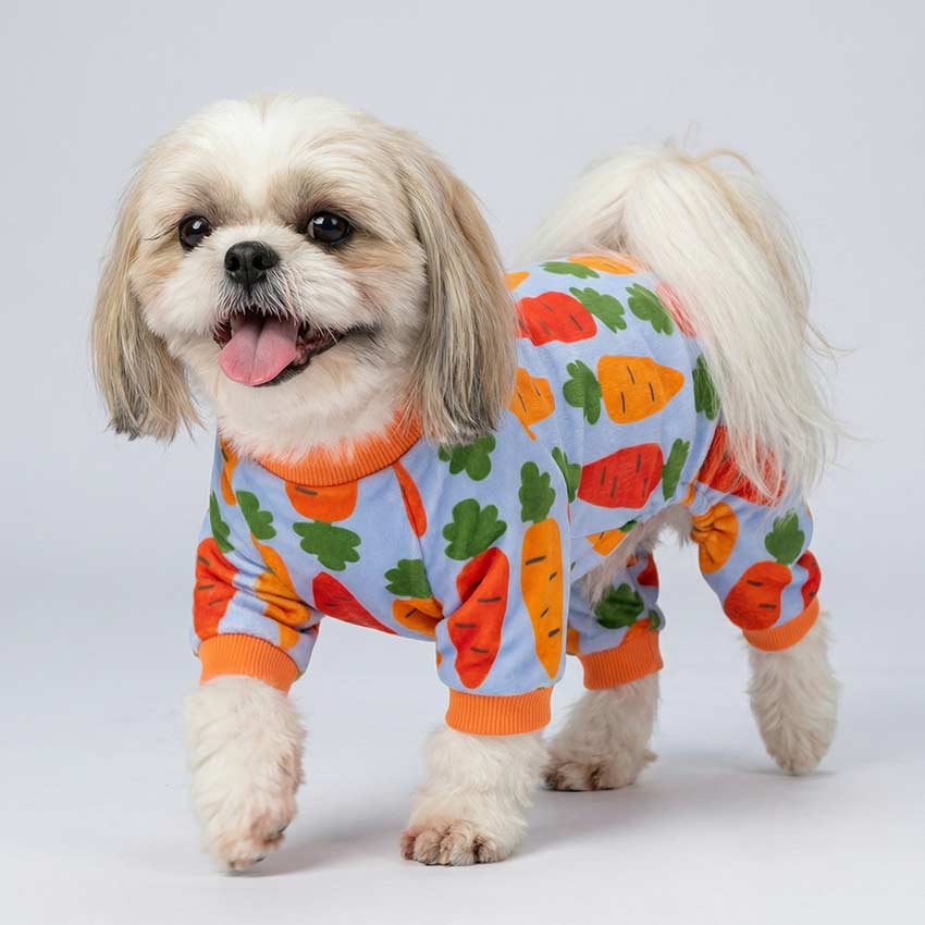 Shih Tzu Extra Small Dog Outfits Spoiled Child Packs Extra Small