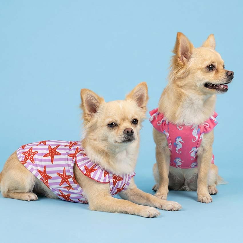 Best Sellers - Designer Dog Clothes - Fitwarm
