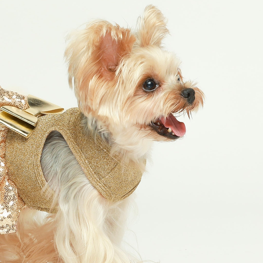 Dog Clothes for Yorkie - Fitwarm