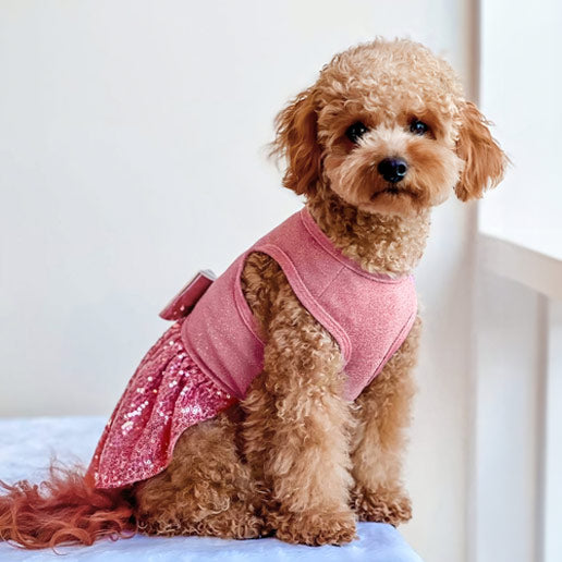 Morkie in a Pink Puff Sleeves Dog Dress - Fitwarm Dog Dresses