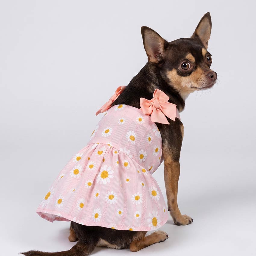 dog cocktail dress The Classic Yellow Princess Dress, Beast Princess, Grown, Pet Cat Dog Cocktail Dress Costume