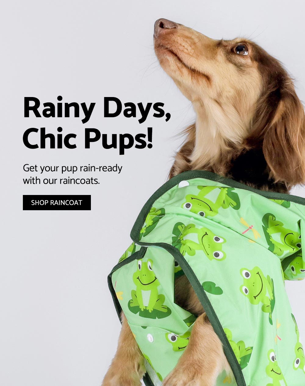 Dachshund in a Green Frog-Print Raincoat Ready for Rainy Adventures - Fitwarm Waterproof Dog Rain Jacket