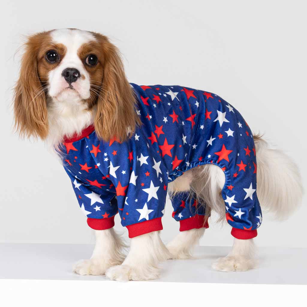 King Charles Spaniel in a Patriotic Star Dog Pajamas - Fitwarm Dog Clothes