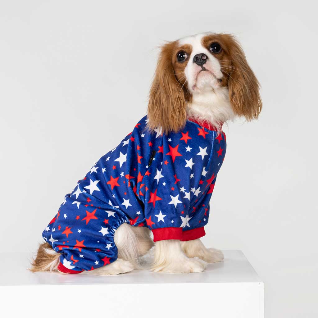 Patriotic Dog Pajamas for King Charles Spaniel - Fitwarm Dog Clothes
