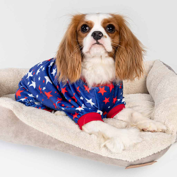King Charles Spaniel in a Classic 4th of July Dog Onesie - Fitwarm Dog Clothes