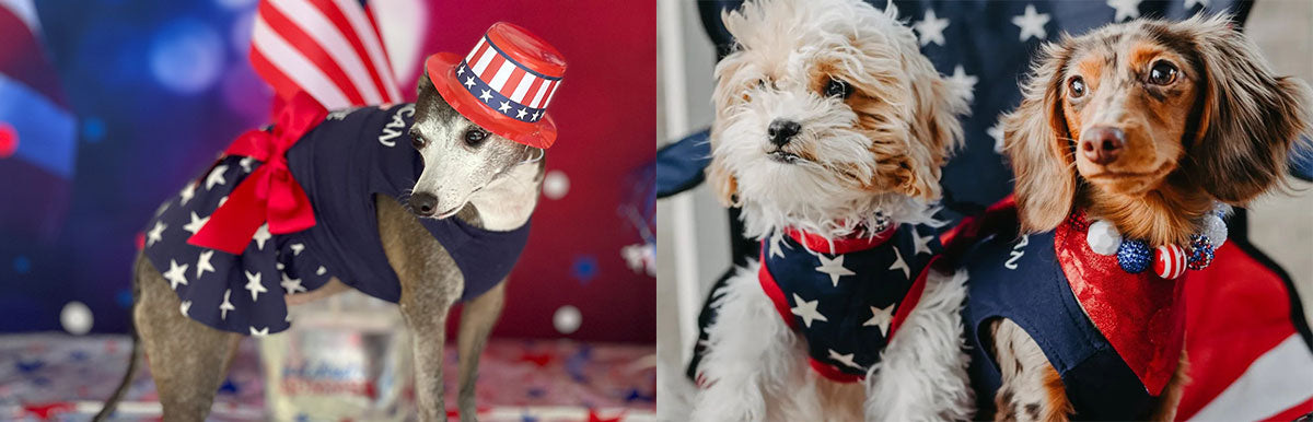 Red, Blue & White - Dog 4th Of July Outfit - Fitwarm