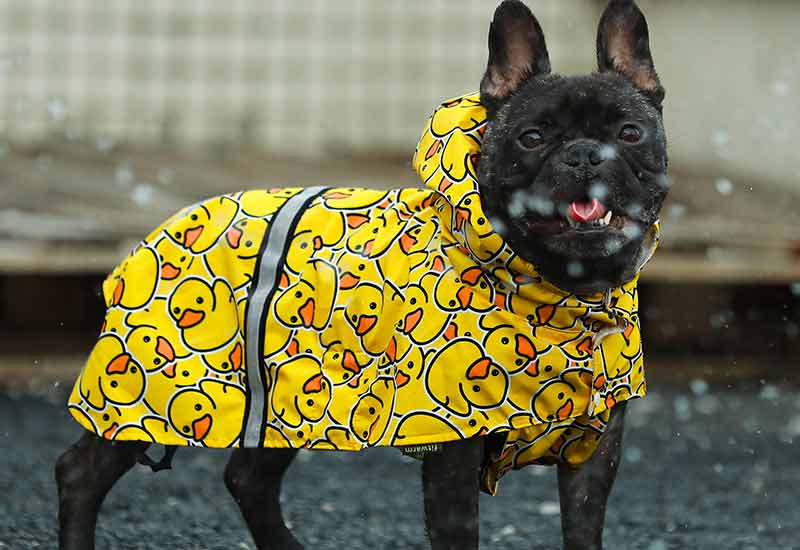 French Bulldog Clothes - Raincoats for Dogs - Fitwarm