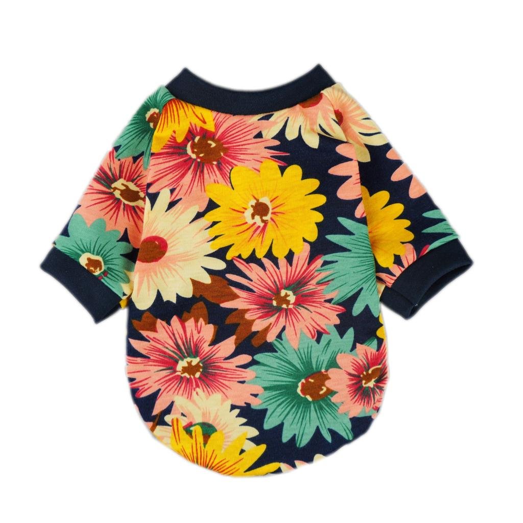 PET TSHIRT FLOWERMARDI FRILL_YELLOW BLUE