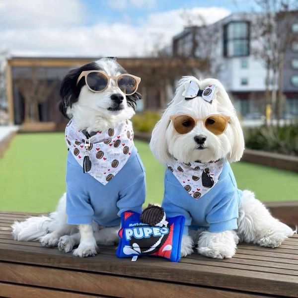 Warm and comfortable jacket