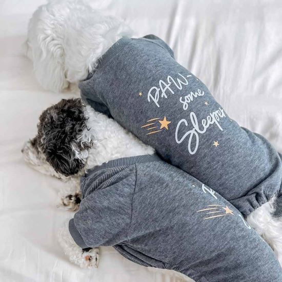 Dog Sleeping Positions Uncovered: Gaining Insight into Your Pet's Rest Patterns