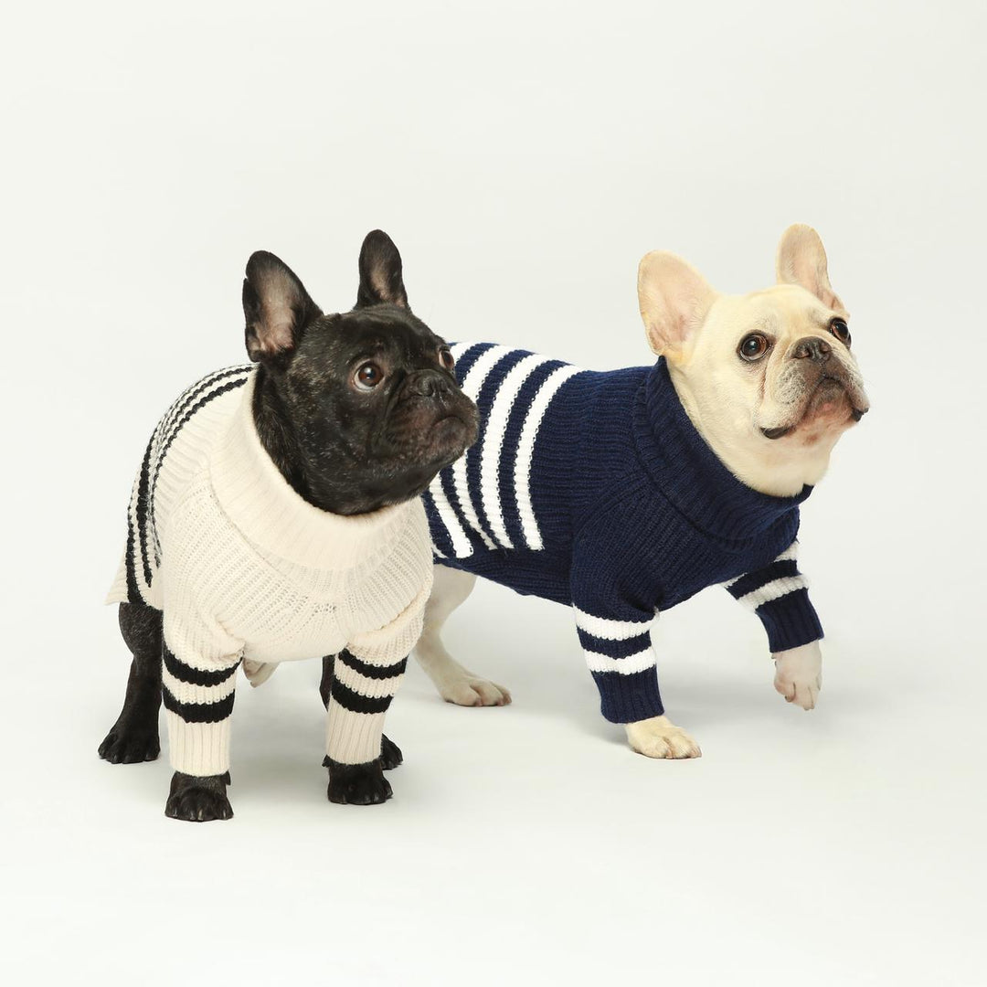 French Bulldog Wardrobe Essentials: Must-Have Clothes