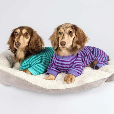 Dachshunds in Waffle Striped Dog Pajamas