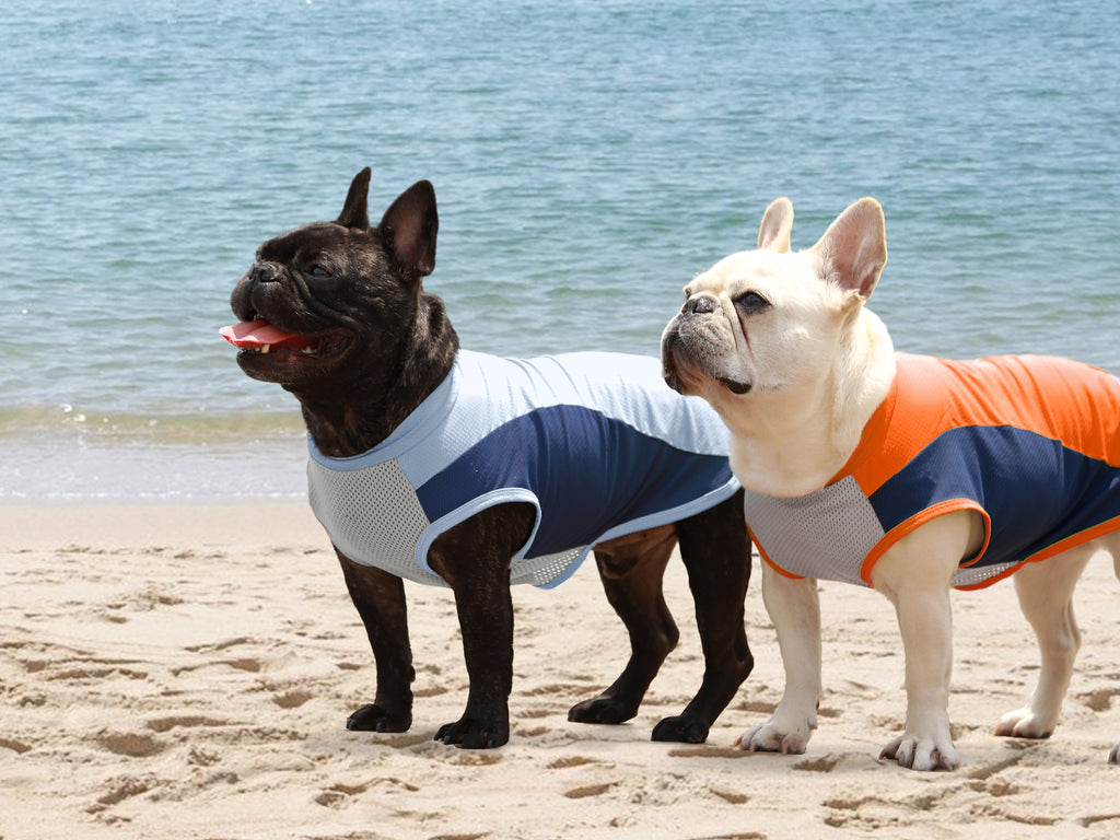 Beat the Heat: Perfect Dog Cooling Vests for Ultimate Summer Comfort