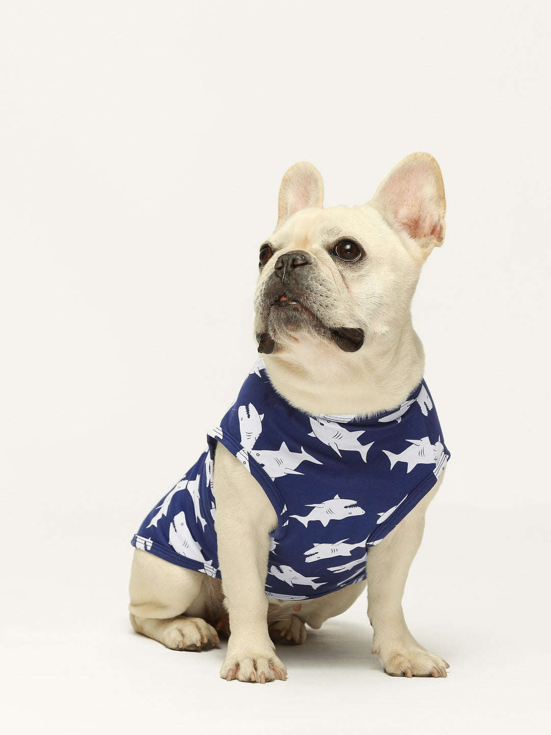 Calling All Shark Enthusiasts: Which Dog Shark Costume Will Make a Splash?