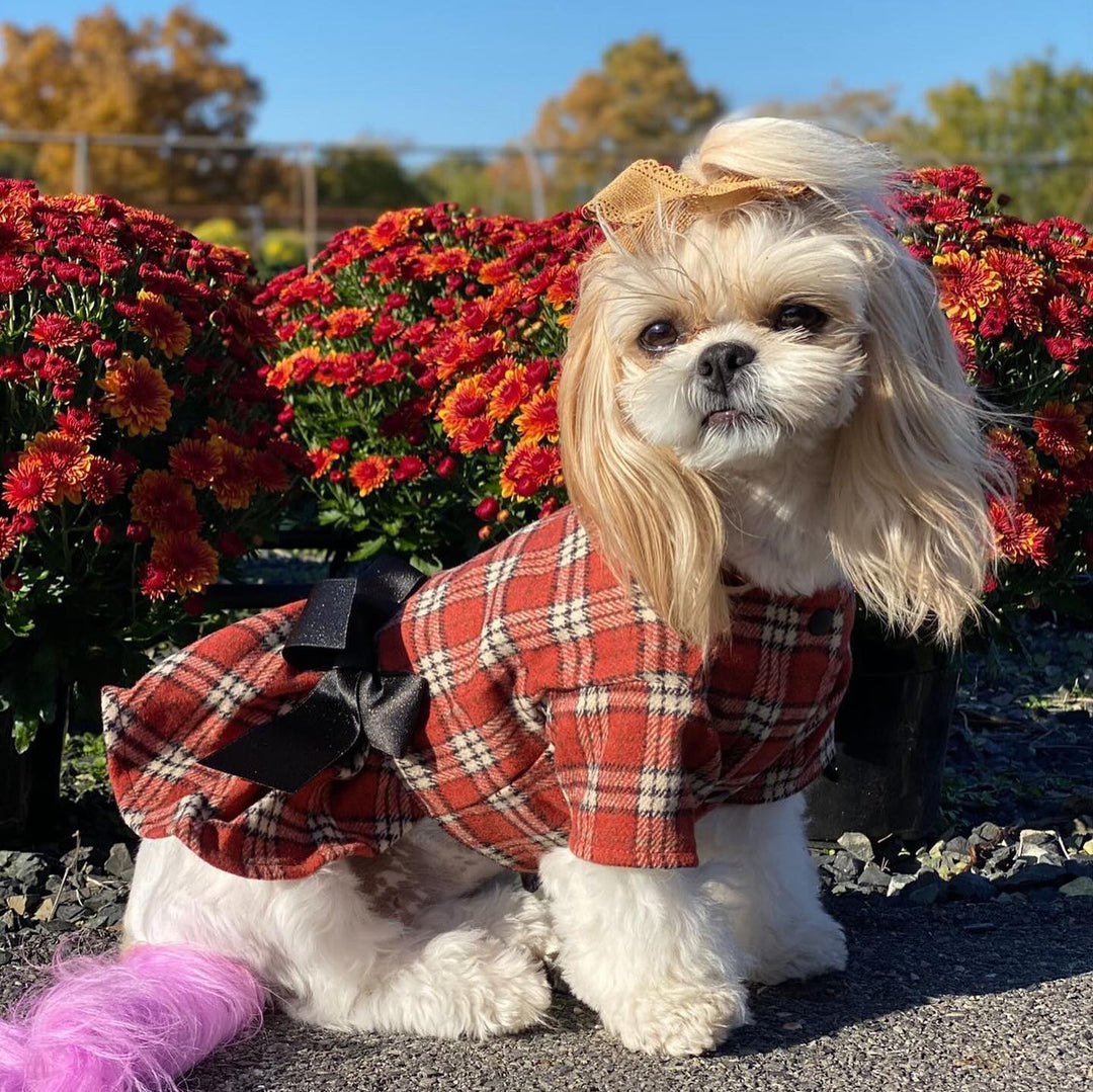 Orange Plaid shih tzu puppy clothes