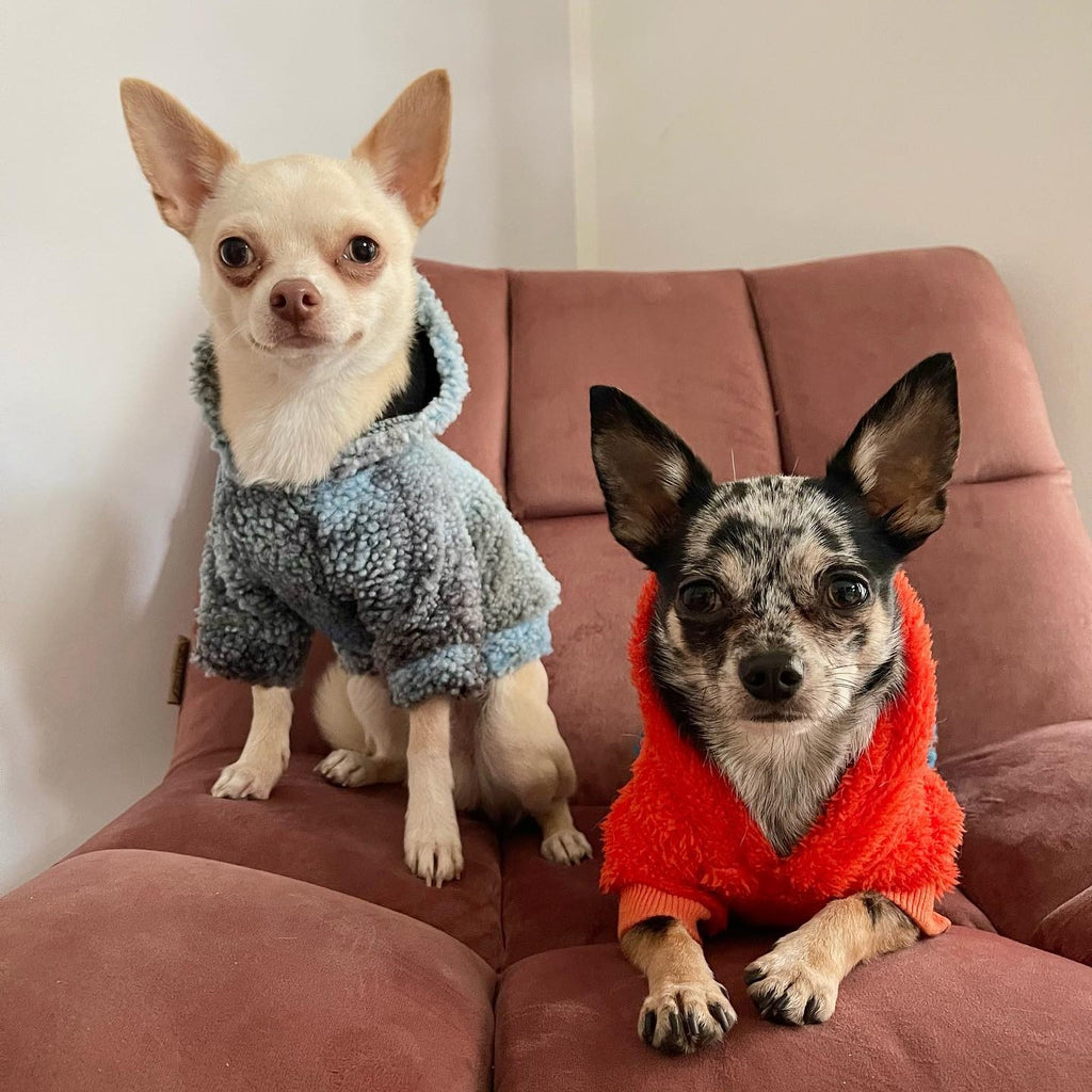 Sherpa tie dye dog hoodie