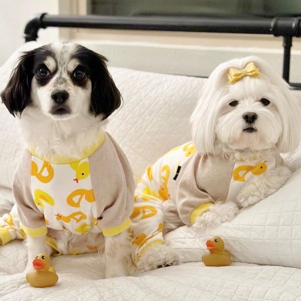 Dogs in Rubber Duck Dog Pajamas