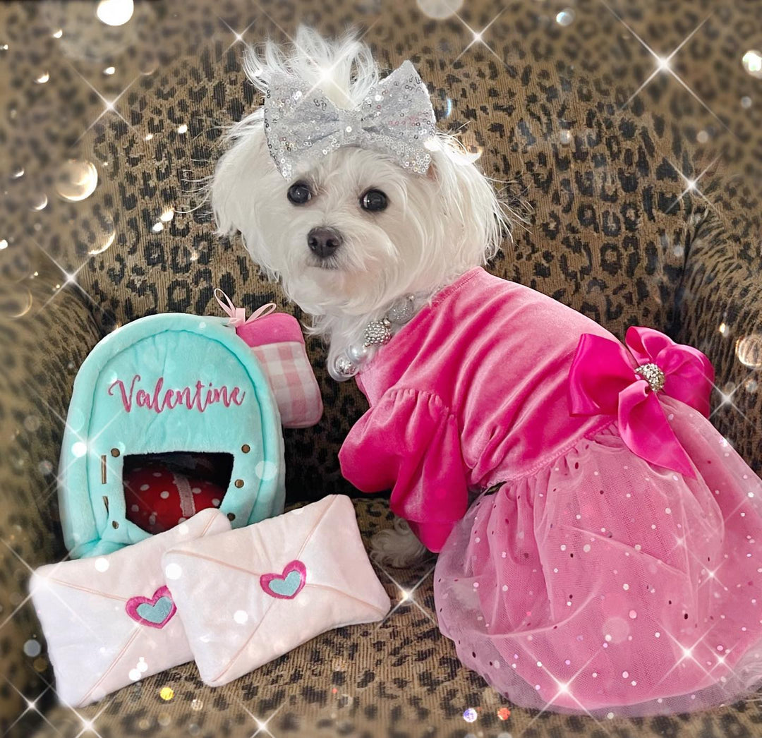 Fancy Tulle dog tutu dress