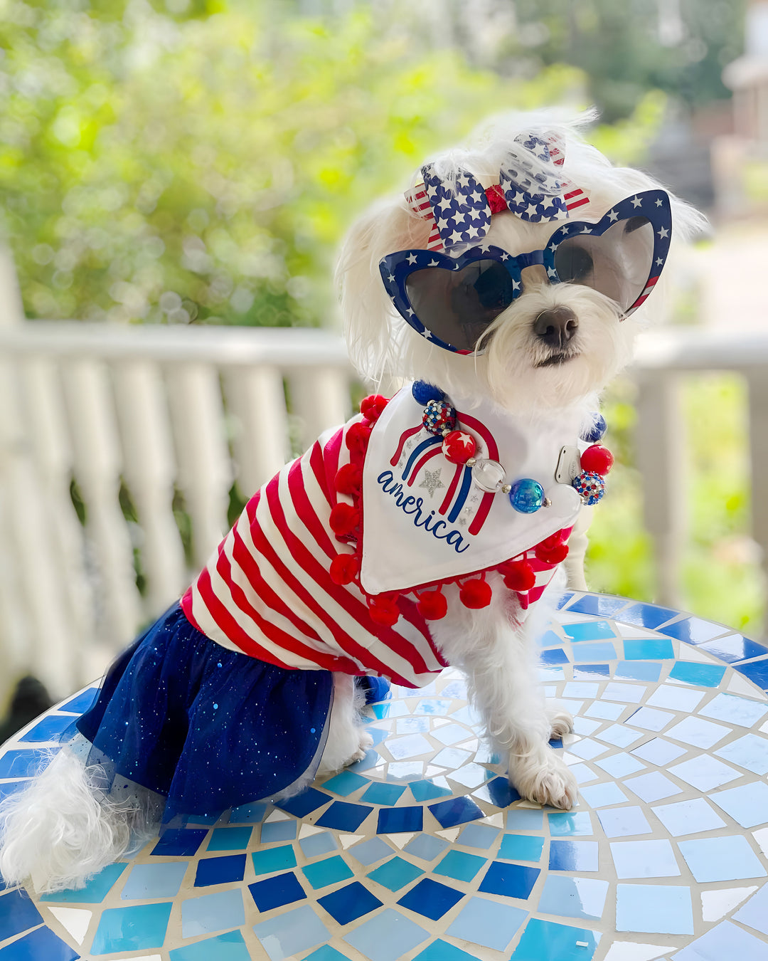 Blue Stars Patriotic 4th of july dog clothes