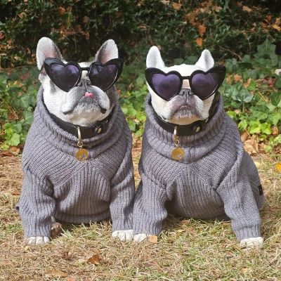 French Bulldogs in Gray Turtleneck Sweaters - Fitwarm Dog Clothes