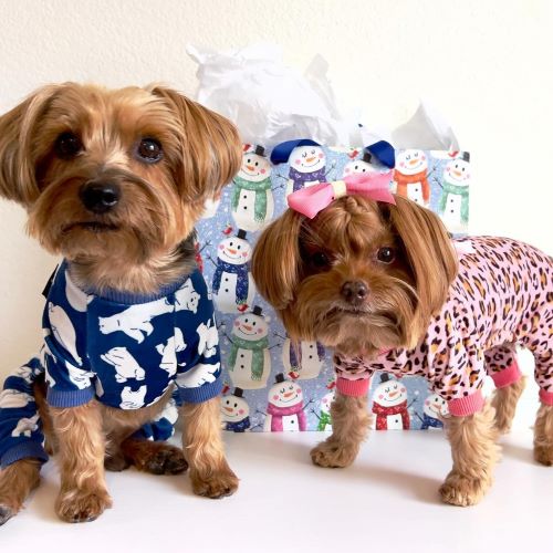 Yorkies in Leopard Dog Pajamas