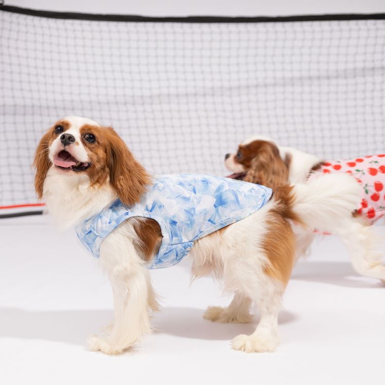 Do Dogs Need a Cooling Vest?