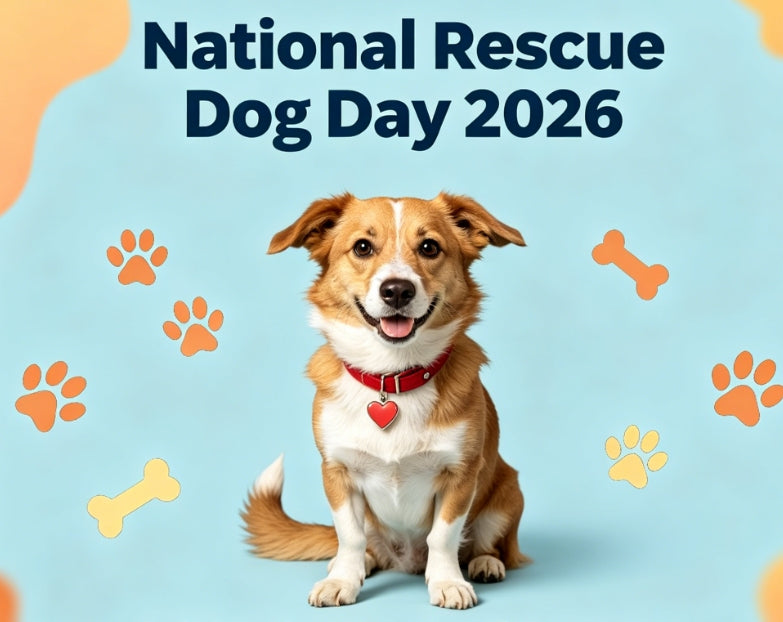National Rescue Dog Day 2026 poster with happy rescue dog, paw prints and bones background