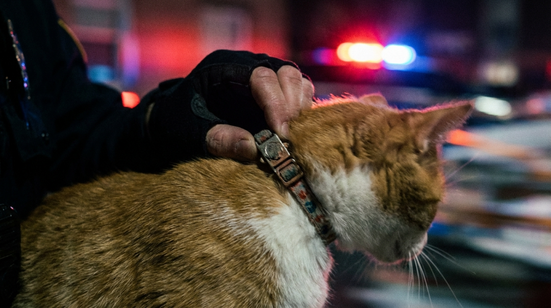 Can Quick-Release Designs Save Lives in Emergencies?