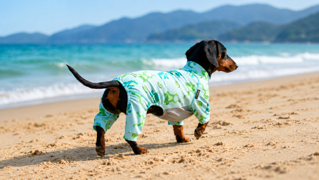 A small dachshund wearing a full-body lightweight UV-protective dog jumpsuit with green pattern, standing on a sunny beach with ocean and mountains in the background, highlighting outdoor sun protection wear.