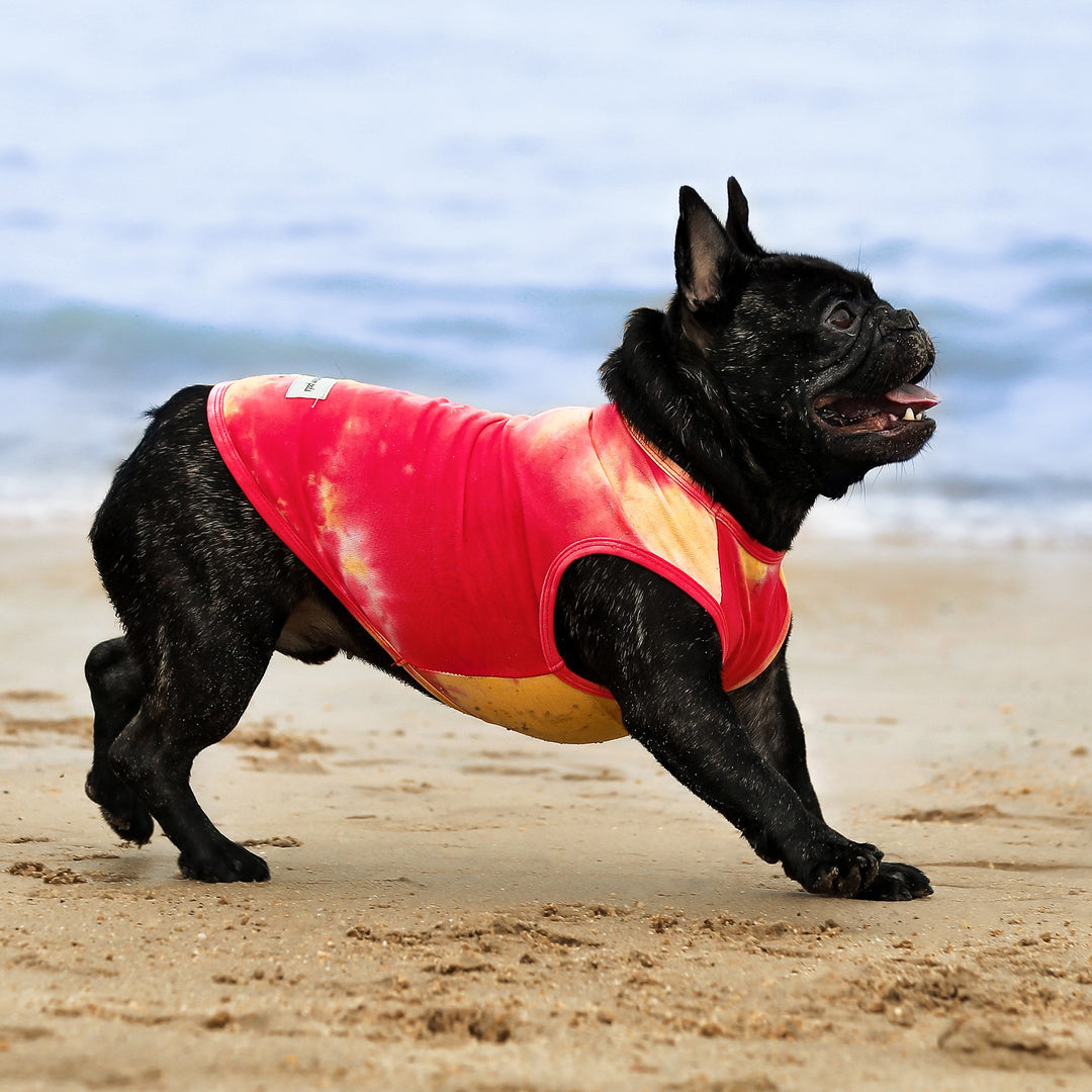 2-Pack Tie Dye Dog Shirts