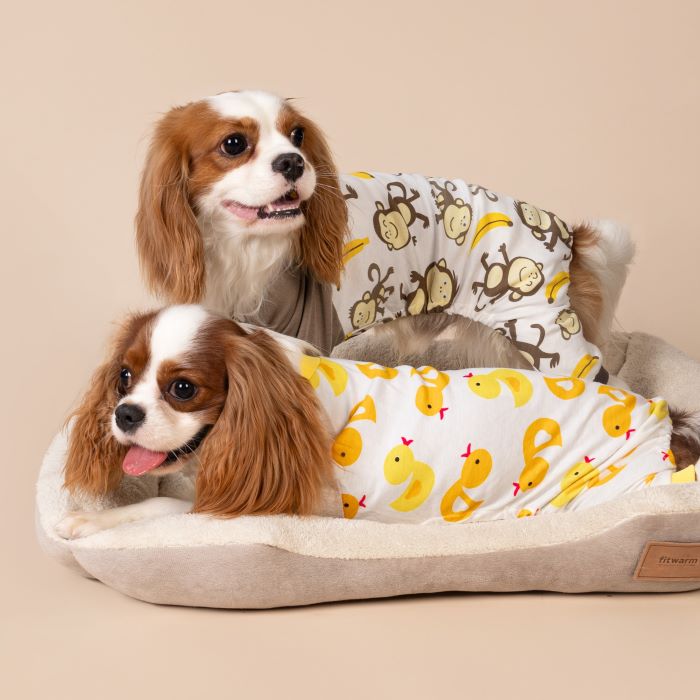 Embracing Style and Comfort: Do Dogs Like Wearing Clothes?