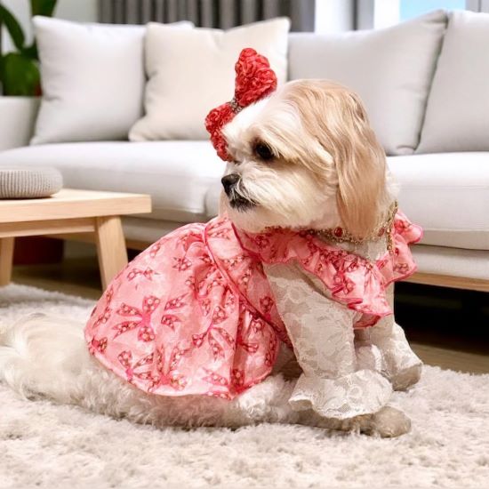 A fluffy dog wearing a pink floral dress with lace sleeves and a matching bow, sitting on a carpeted floor.