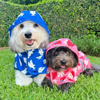 Dog Raincoats: A Must-Have for Wet Weather Walks