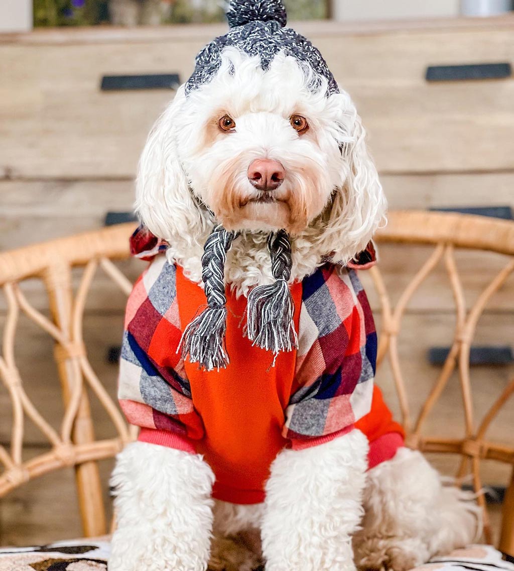 Orange Plaid Dog Hoodie