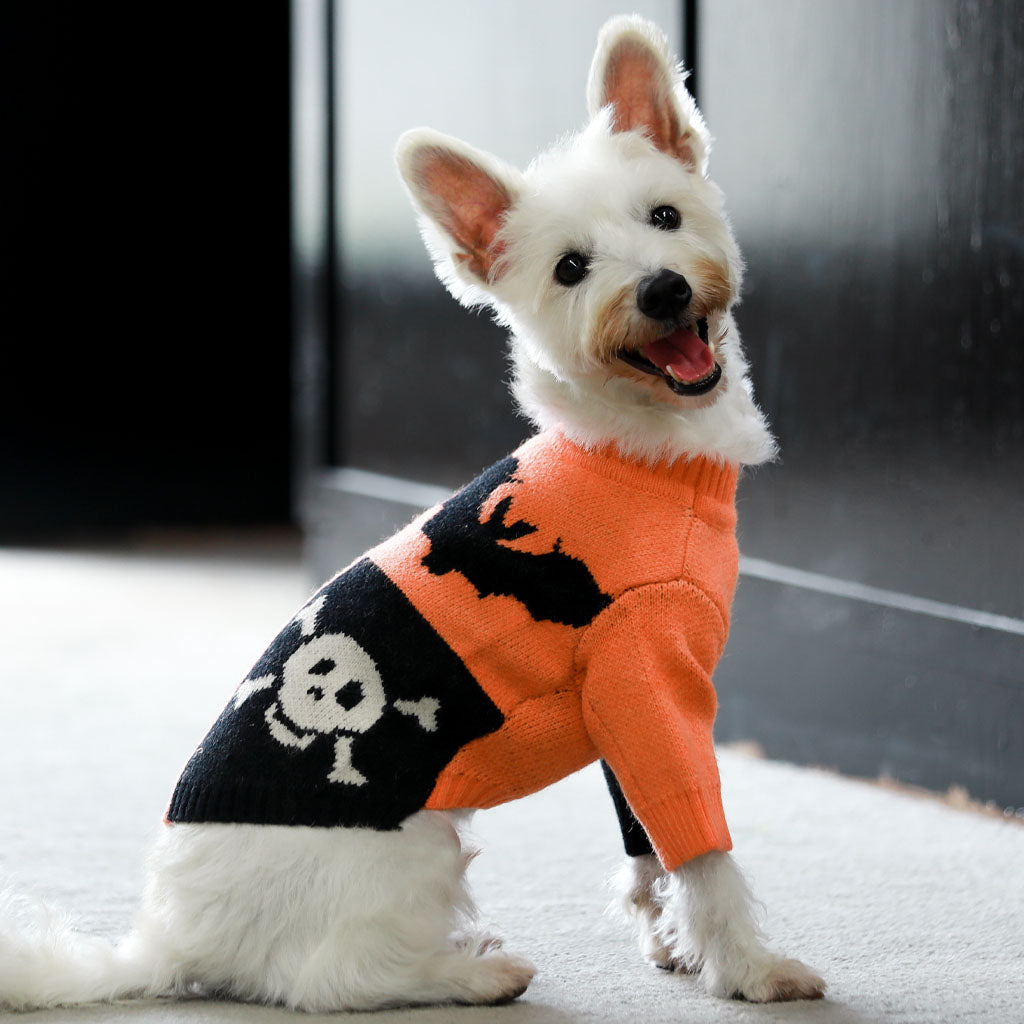 Spooky Halloween Dog Sweater