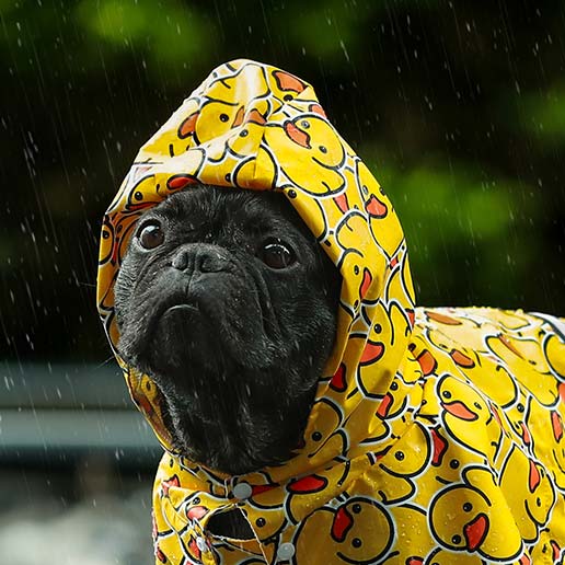 Dog Raincoat - Fitwarm