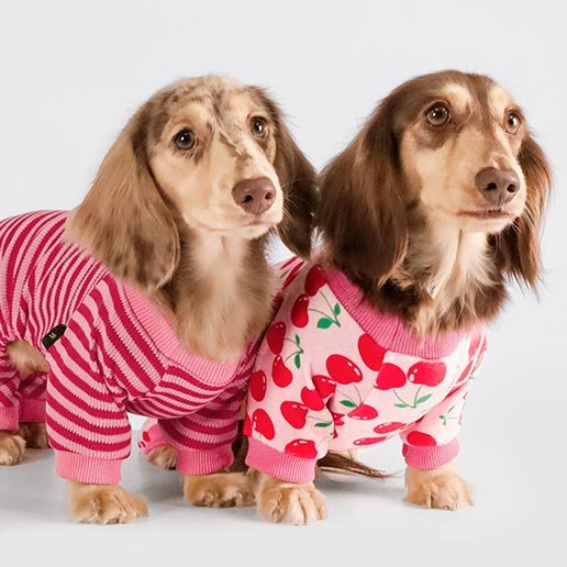 Dachshund in Cute Waffle and Cherry Dog Pajamas - Fitwarm Dog Onesies