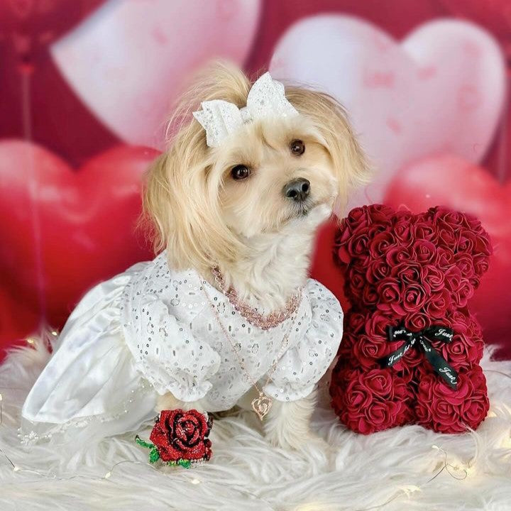 Dog Wedding Dress - Dog Wedding Outfit - Fitwarm Dog Clothes