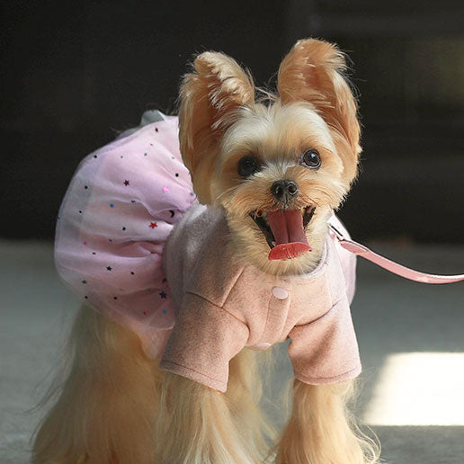 Girl Dog Harness Dress - Fitwarm