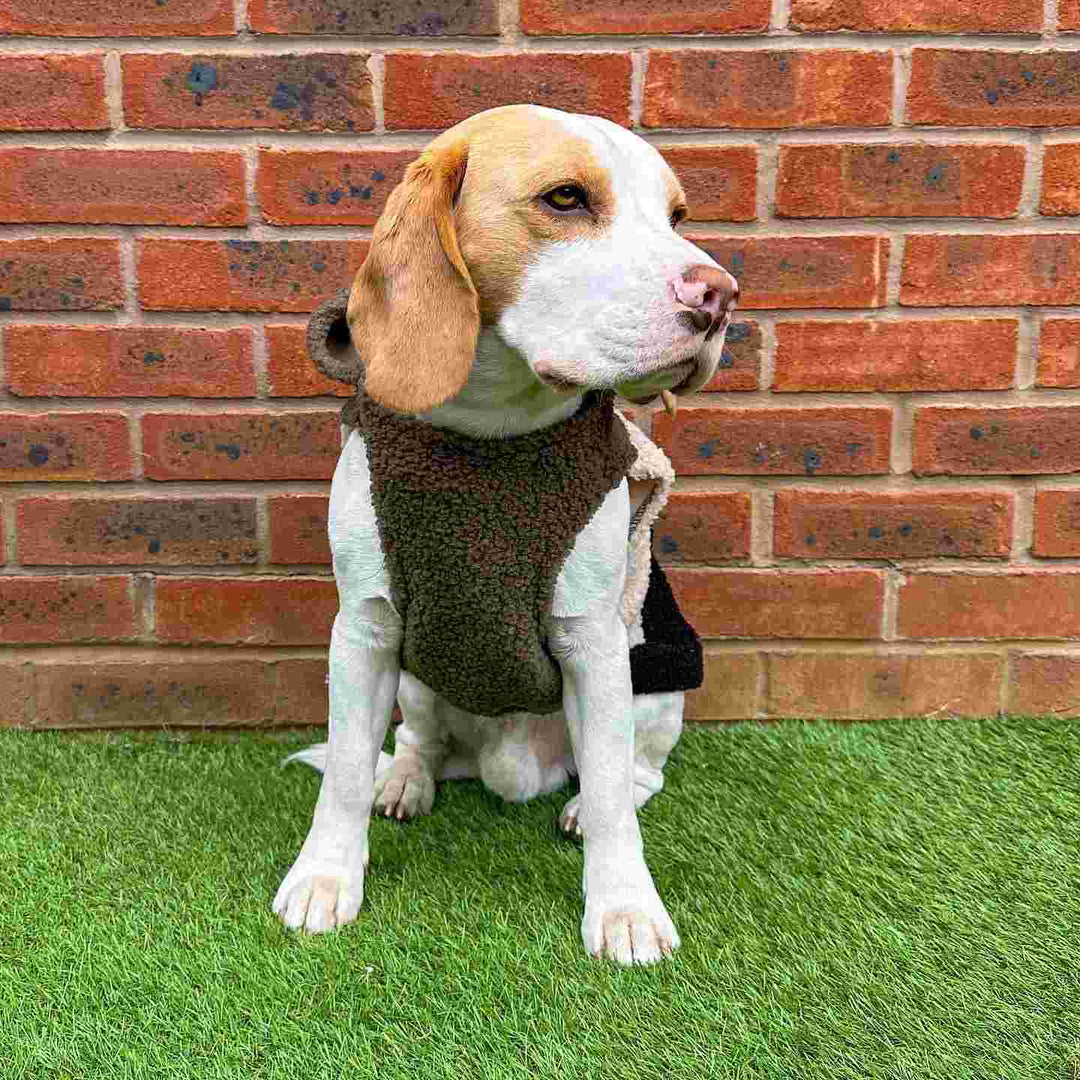 Dog Clothes for Beagle - Fitwarm