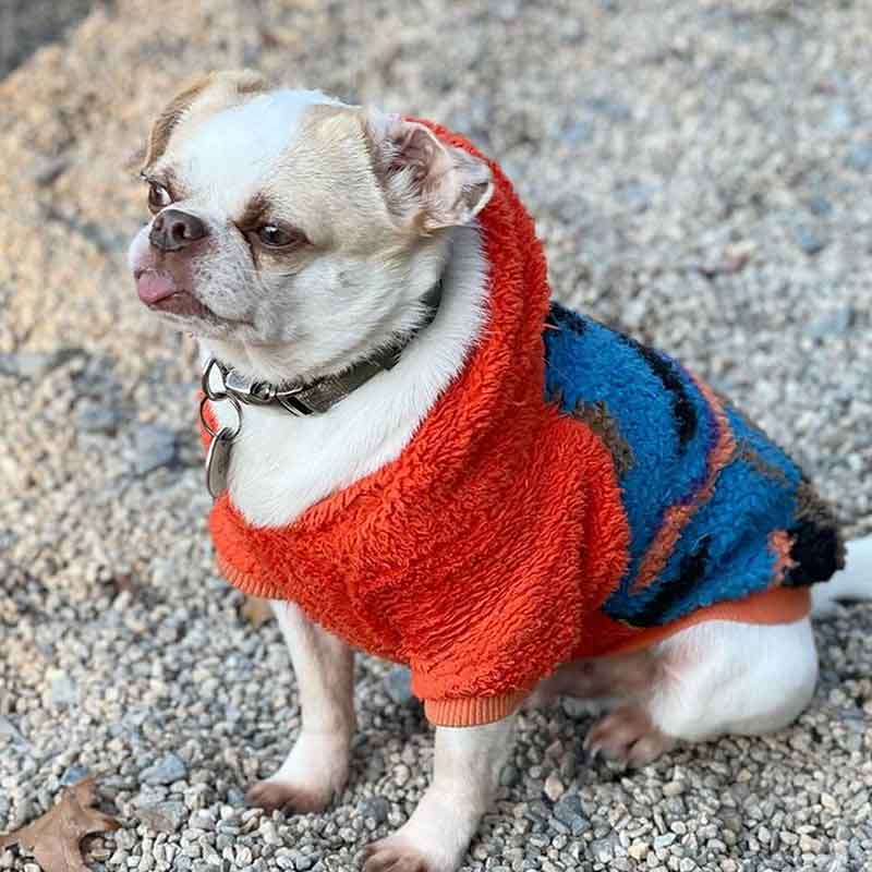 Pug Clothes - Dog Clothes and Clothing - Fitwarm