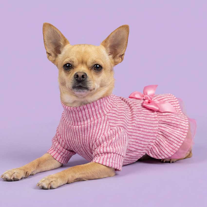 コレクション – Fitwarm