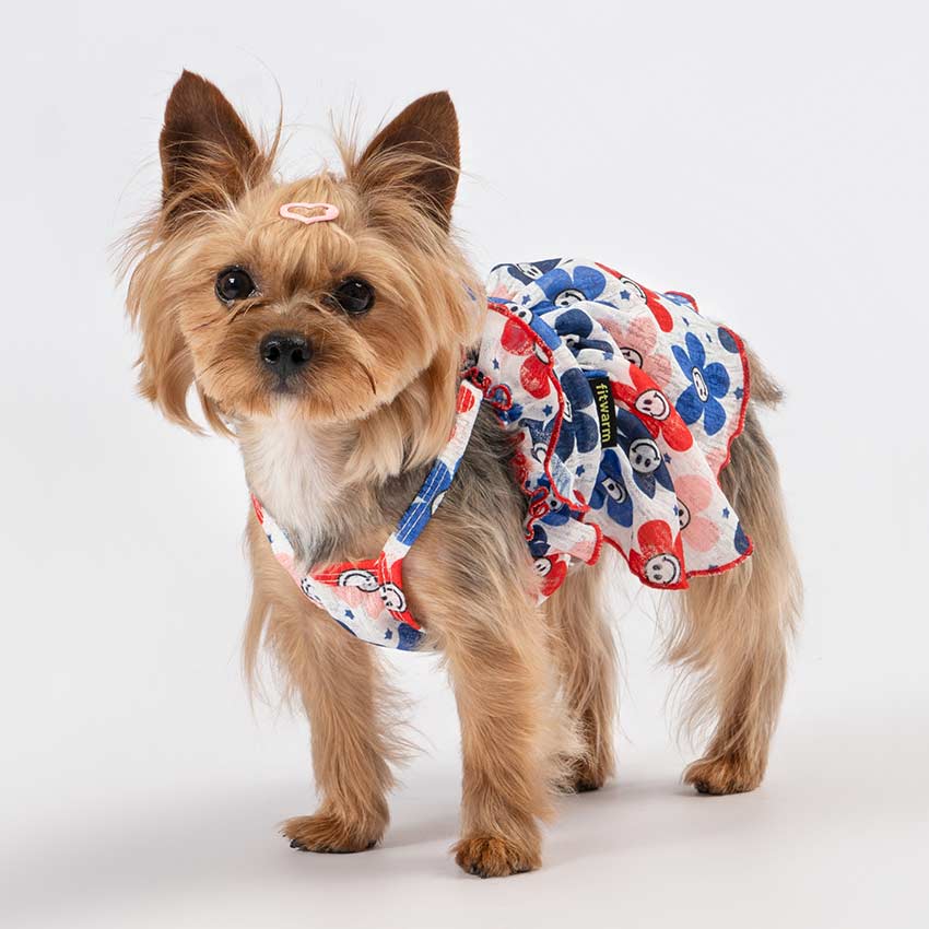 Skelett Hundekostüm Für Halloween & Feiertage - Atmungsaktives Pet Outfit