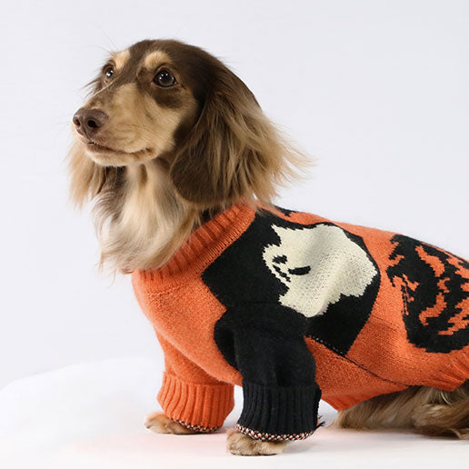 Dog Celebration Clothes - For Halloween, Christmas, 4th of July, Valentine's Day & Others - Fitwarm