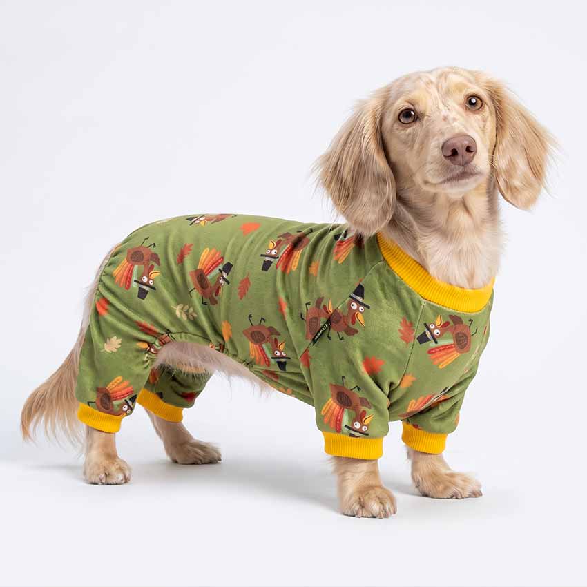 Dog wearing Fitwarm pajamas